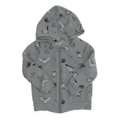 Huvtröja (Grön, Flerfärgad) från Harry Potter x H&M Bomull, Polyester, Elastan