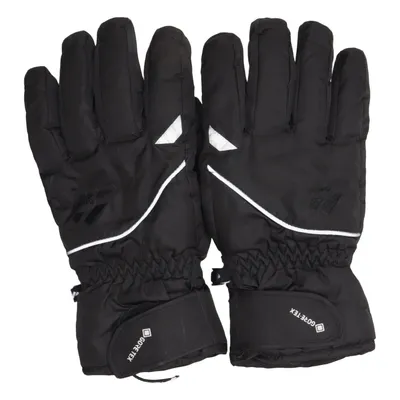Gants (Astro.Gtx) de Zanier Gore-tex, Polyamide, Polyester, Polyuréthane