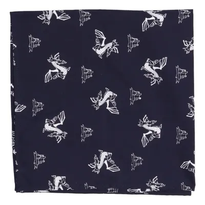 Shawl (Blue, White) from Lollipop
