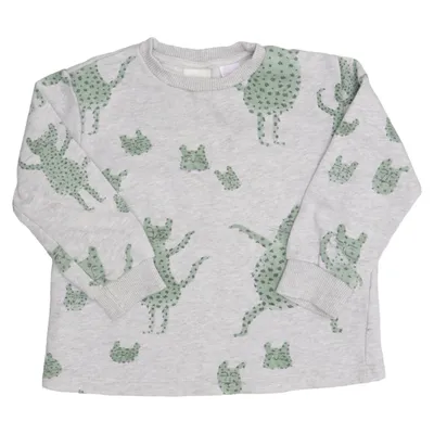 Sweatshirt (Grau, Grün) von Zara BabyBoy Baumwolle, Polyester