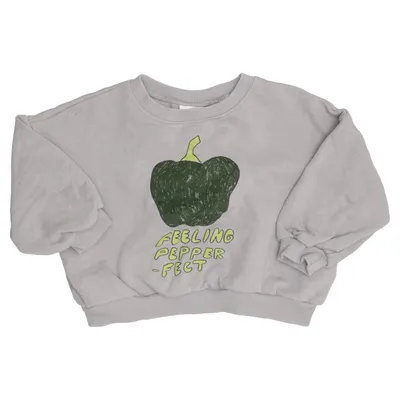 Sweatshirt (Gray, Green) from Zara Cotton, Polyester