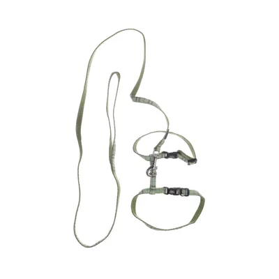 Leash belt (Green) from Nobby