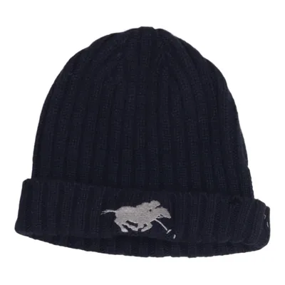 Beanie (Blauw) van Polo Sylt Kasjmier