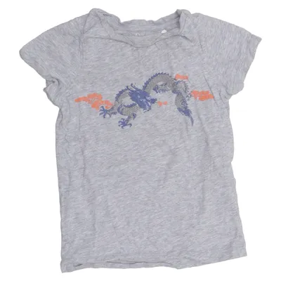T-shirt (Gray, Multicolored) from Shanghai Tang Cotton