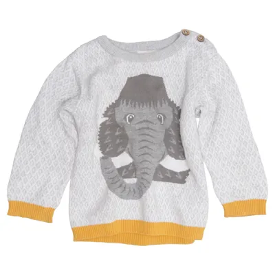 Sweater (Gray, Yellow, Multicolored) from Coq en Pate Organic cotton, Wool