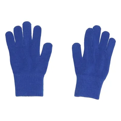 Handschoenen (Blauw)