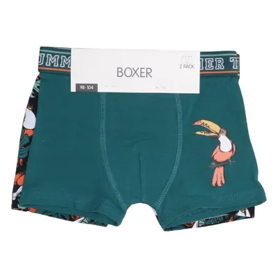 Kalsonger (Grön, Flerfärgad) från Boxer Bomull, Elastan