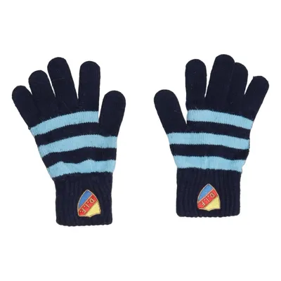 Gloves (Blue) from Djurgårdens IF