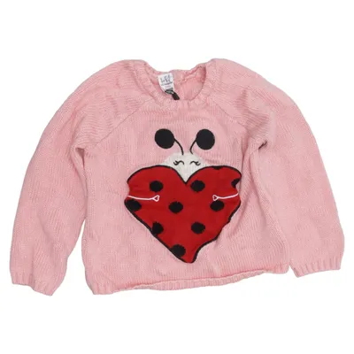 Sweater (Pink, Multicolored) from LC Waikiki Baby Acrylic
