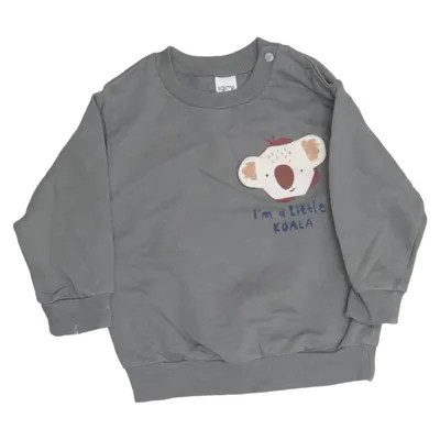 Sweatshirt (Grün) von Iggy Baumwolle