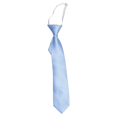 Tie (Blue) from TigerTie Polyester