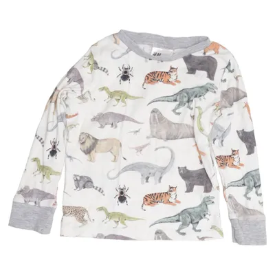 Long sleeve T-shirt (White, Multicolored) from H&M Cotton