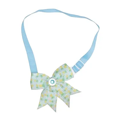 Dog accessory (Blue, Multicolored)