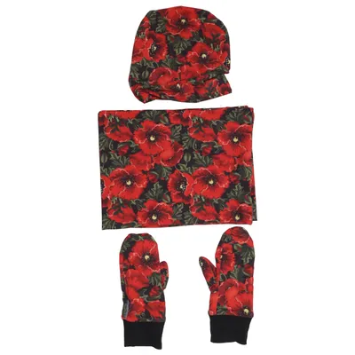 Kit d'accessoires (Rouge, Vert, Noir)