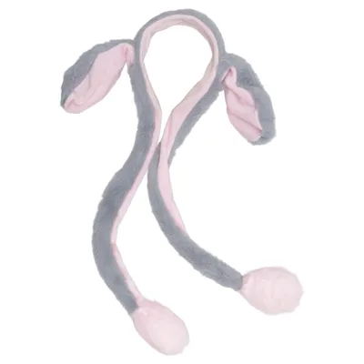 Accessoires de déguisement (Gris, Rose)