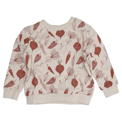 Sweatshirt (Al.Sweatshirt AO) fra Alana Økologisk bomuld