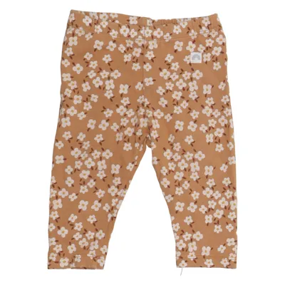 Leggings (Bruin, Wit) van Lindex Baby Katoen, Elastaan