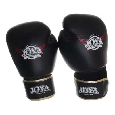 Boxningshandskar (Pro Line) från Joya