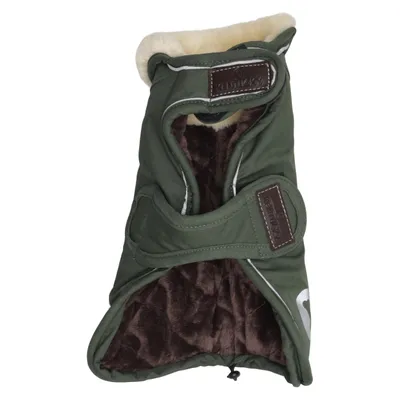 Manteau pour chien (Vert) de Kentucky Dogwear