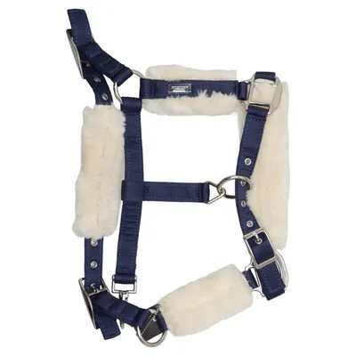 Halter (Blue, Beige) from Equestrian Stockholm