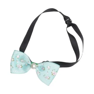 Accessoire pour chien (Vert, Multicolore)