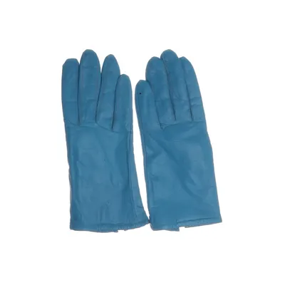 Läderhandskar (Blå) från H&M Skinn