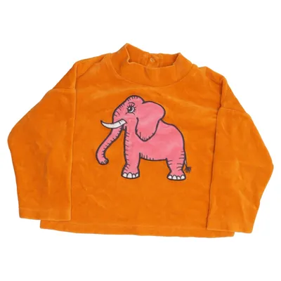 Sweatshirt (Gul, Pink, Flerfarvet) fra Mini Rodini Bomuld