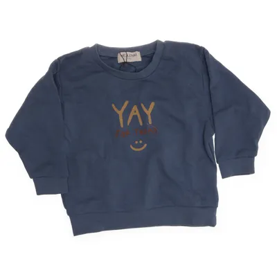 Collegetröja (Blå) från HEJLENKI Bomull