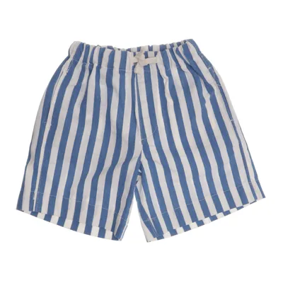 Shorts (Blue, White) from Zara