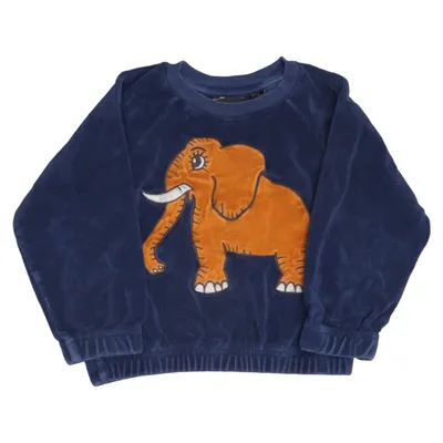 Sweatshirt (Blue, Brown) from Mini Rodini Organic cotton