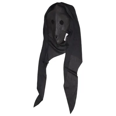 Maskeradtillbehör (Svart) från Harry Potter