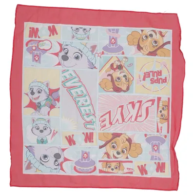 Shawl (Pink, Multicolored) from Paw Patrol