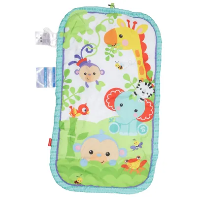 Stroller accessory (Multicolored) from Fisher Price