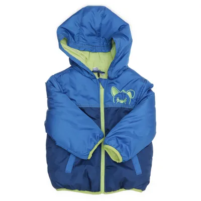 Vinterjakke (Blå, Gul) fra Ergee Bomuld, Polyester