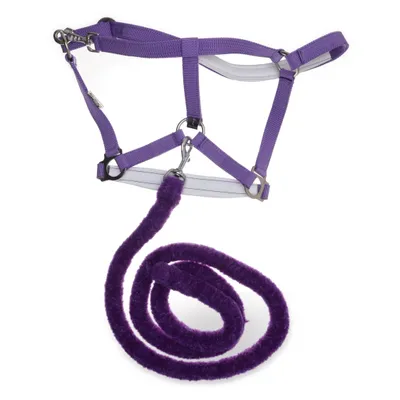 Halter (Purple) from Equest