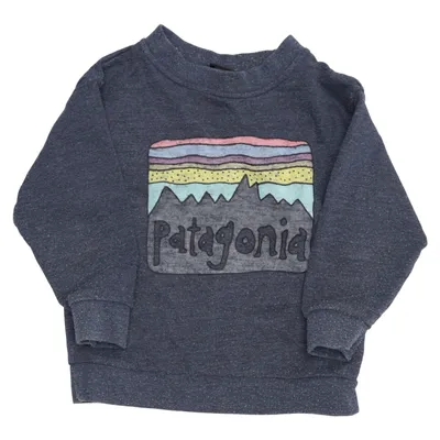 Sweatshirt (Blauw, Meerkleurig) van Patagonia Organisch katoen, Polyester