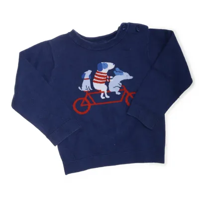 Sweater (Blå) fra Jacadi