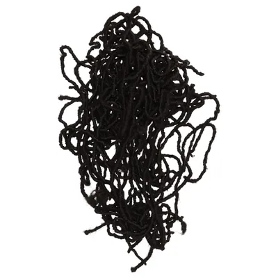 Extensions (Bruin)