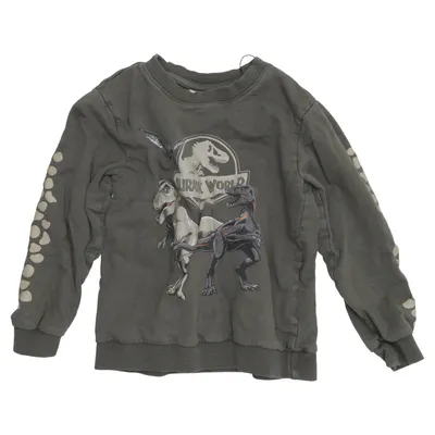 Sweatshirt (Grün) von Jurassic World Baumwolle