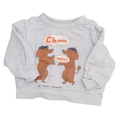 Sweatshirt (Gris, Multicolore) de Tinycottons Coton biologique, Viscose