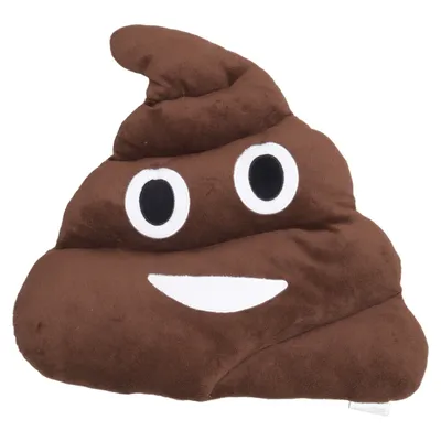 Prydnadskudde (Poop Pillow) från Coolstuff