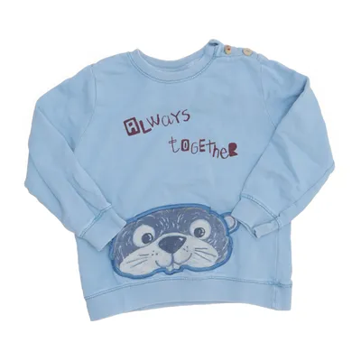 Sweatshirt (Blå, Flerfarvet) fra Zara BabyBoy