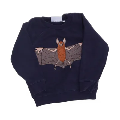 Collegetröja (Blå) från Mini Rodini Ekologisk bomull