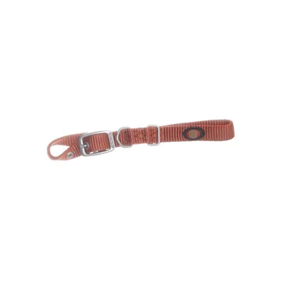 Collier pour chien (Marron) de Hamilton