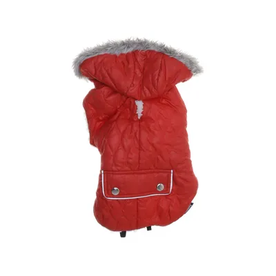 Dog clothes (Red, Multicolored) from Nobby