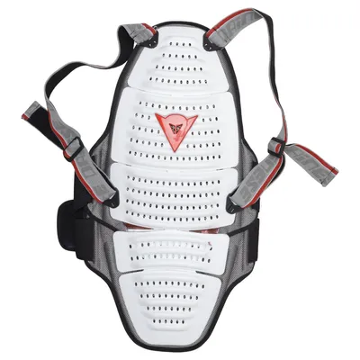 Rygbeskytter (Sort, Grå) fra Dainese