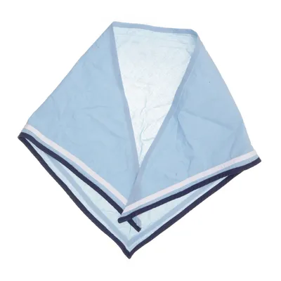 Handkerchief (Blue)