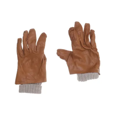 Handschoenen (Bruin) van Hestra Polyamide, Leer, Wol