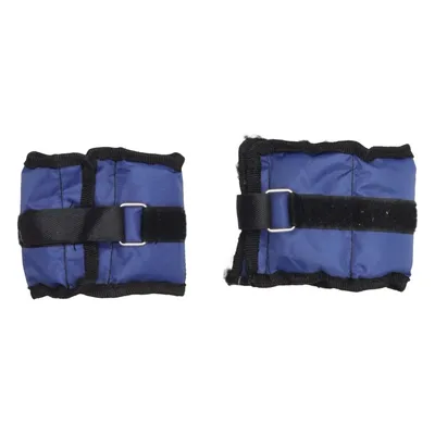 Enkelgewichten (Blauw)