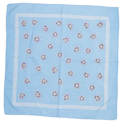 Zakdoek (Blauw, Wit)